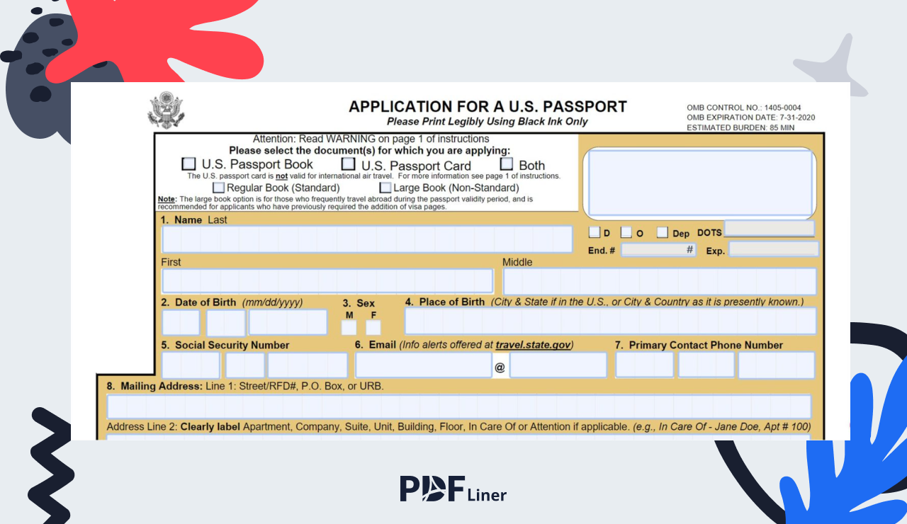 How to Fill out a DS-11 Form and Submit It - Image Preview