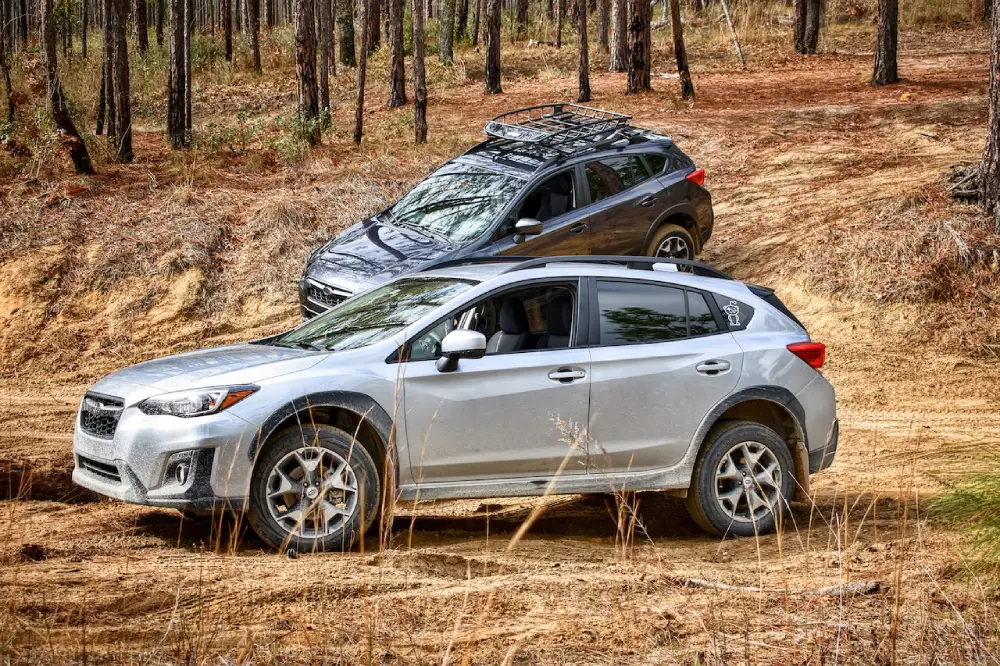 Car in the forest